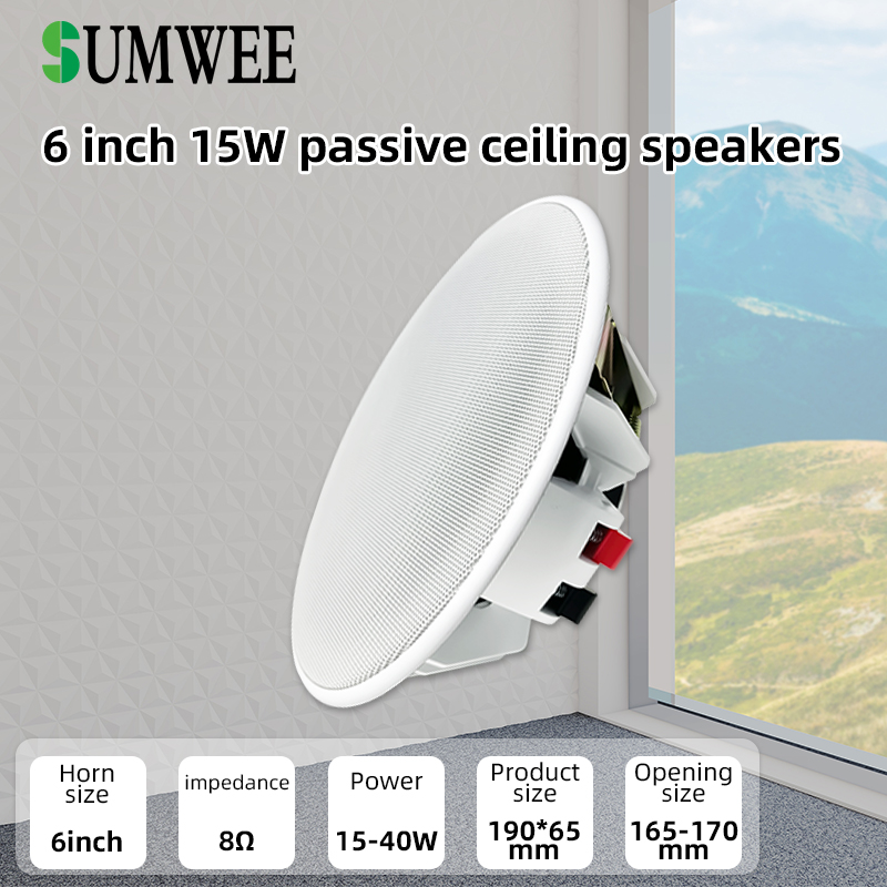 Audio Music Background - 6 Inch 8ohm Ceiling Speaker Full