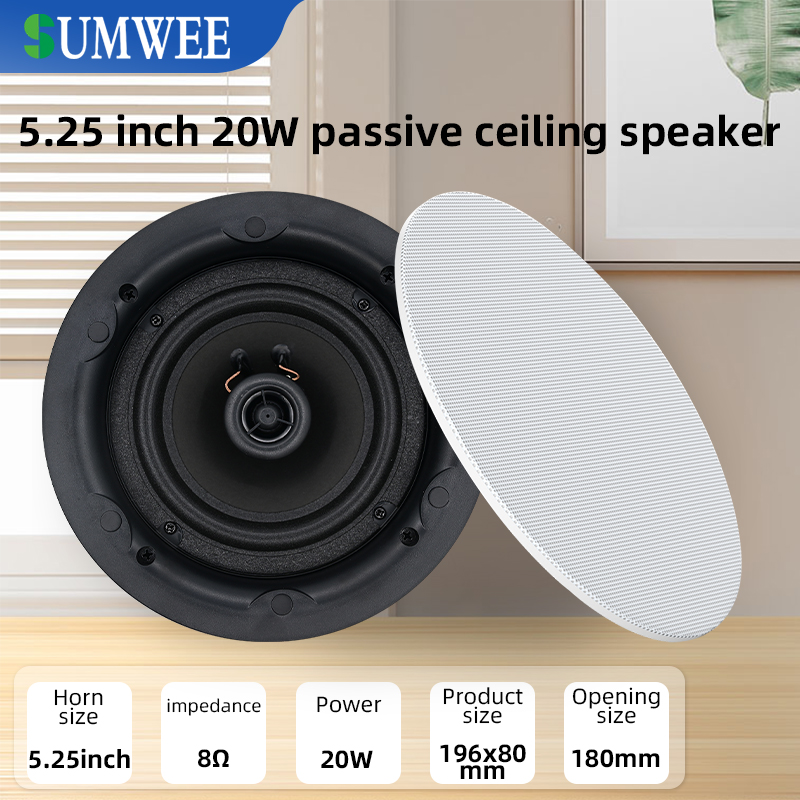 Audio Music Background - 5.25 inch 8 ohm Ceiling Speaker