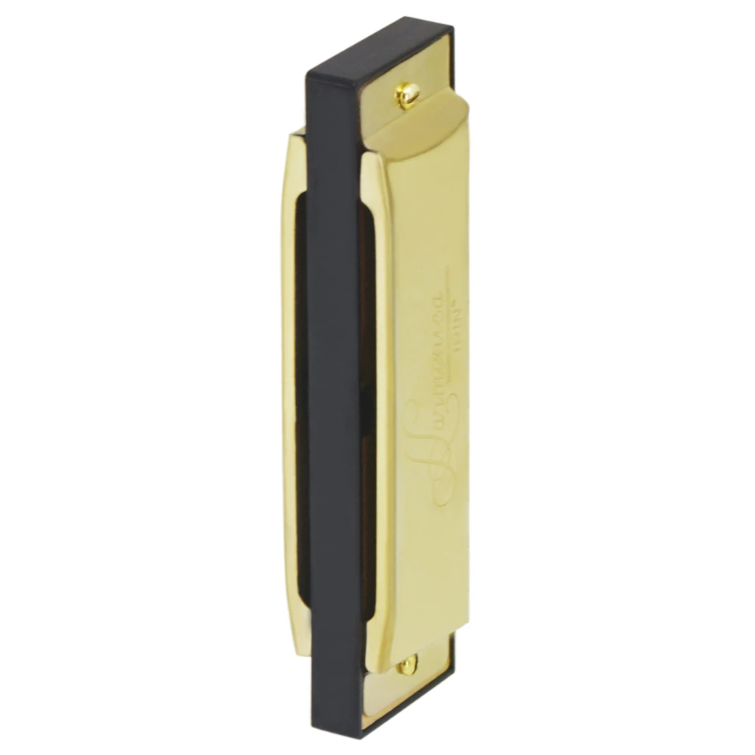IRIN Harmonica 10 Hole 20 Tone - Harmonica 10 Hole recension och pris