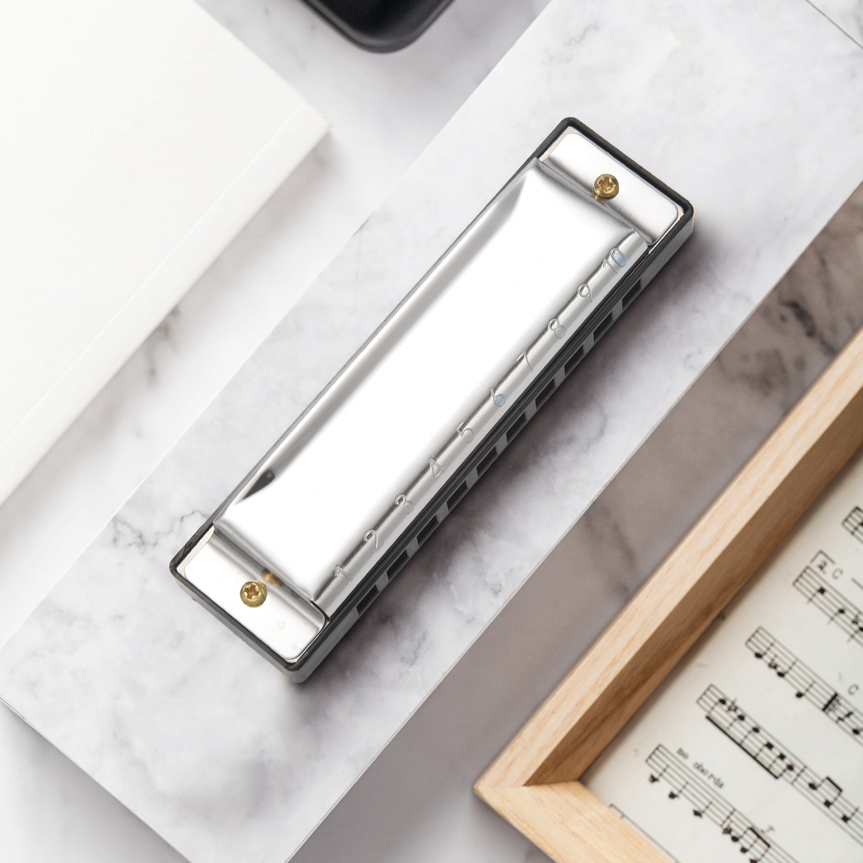 ABXY 10 Holes Blues Harmonica  - Harmonica 10 Hole recension och pris