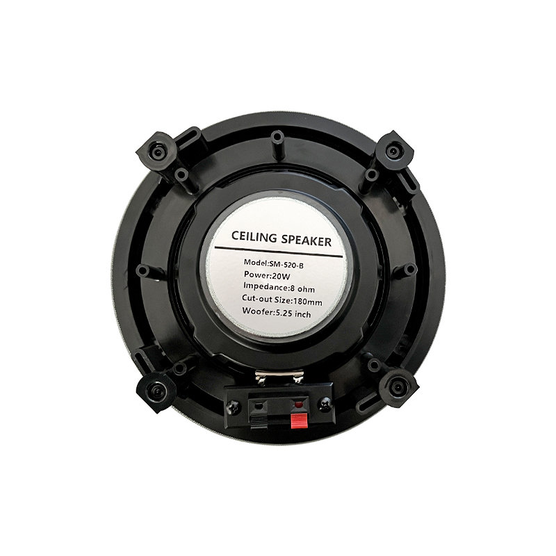 5.25 inch 8 ohm Ceiling Speake - Audio Music Background recension och pris