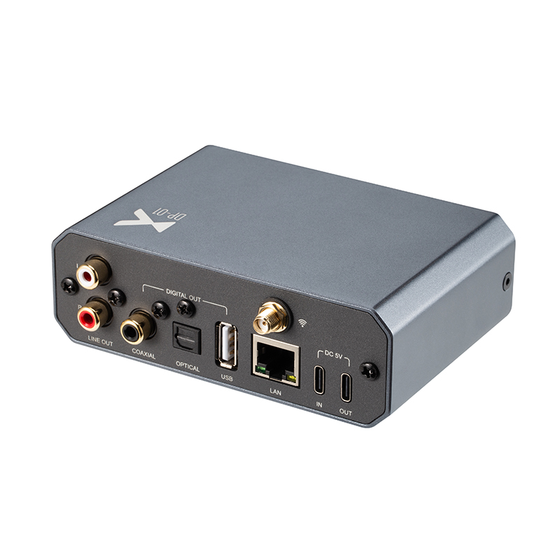xDuoo DP-01 Lossless Music Str - Audio Without Music recension och pris
