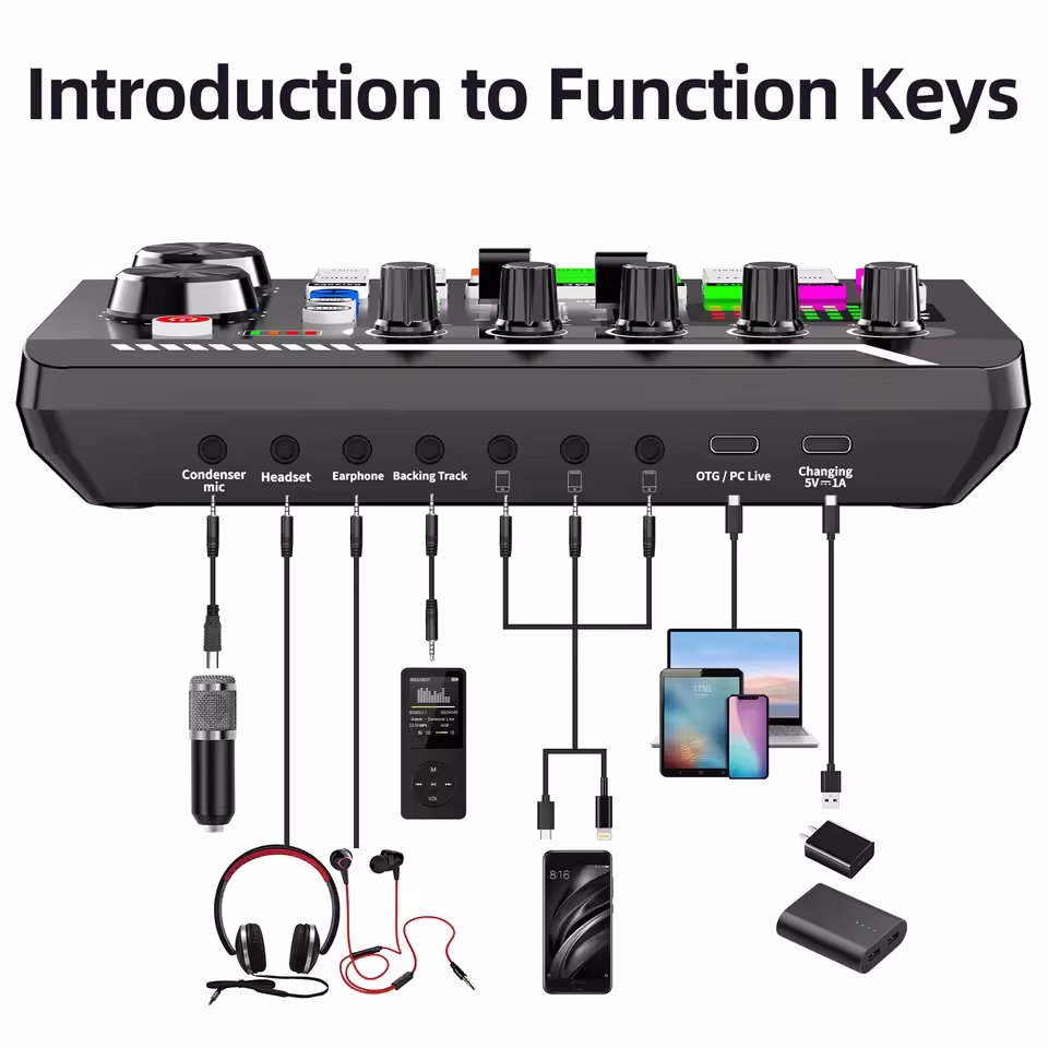 Professional Microphone Mic Bl - Audio Music Voice Changer recension och pris