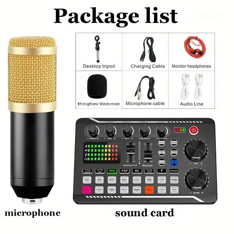 Condenser Microphone Professio - Audio Music Voice Changer recension och pris